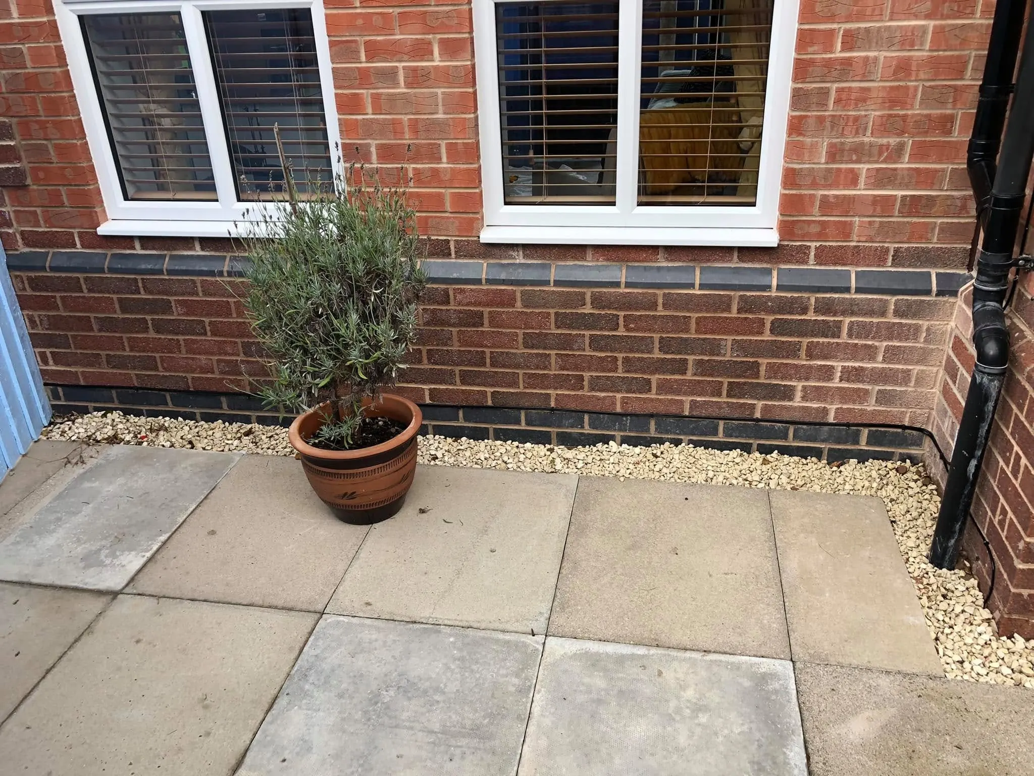 Black cable clipped along the dark brick course at the base of a house wall behind a potted lavender on a patio