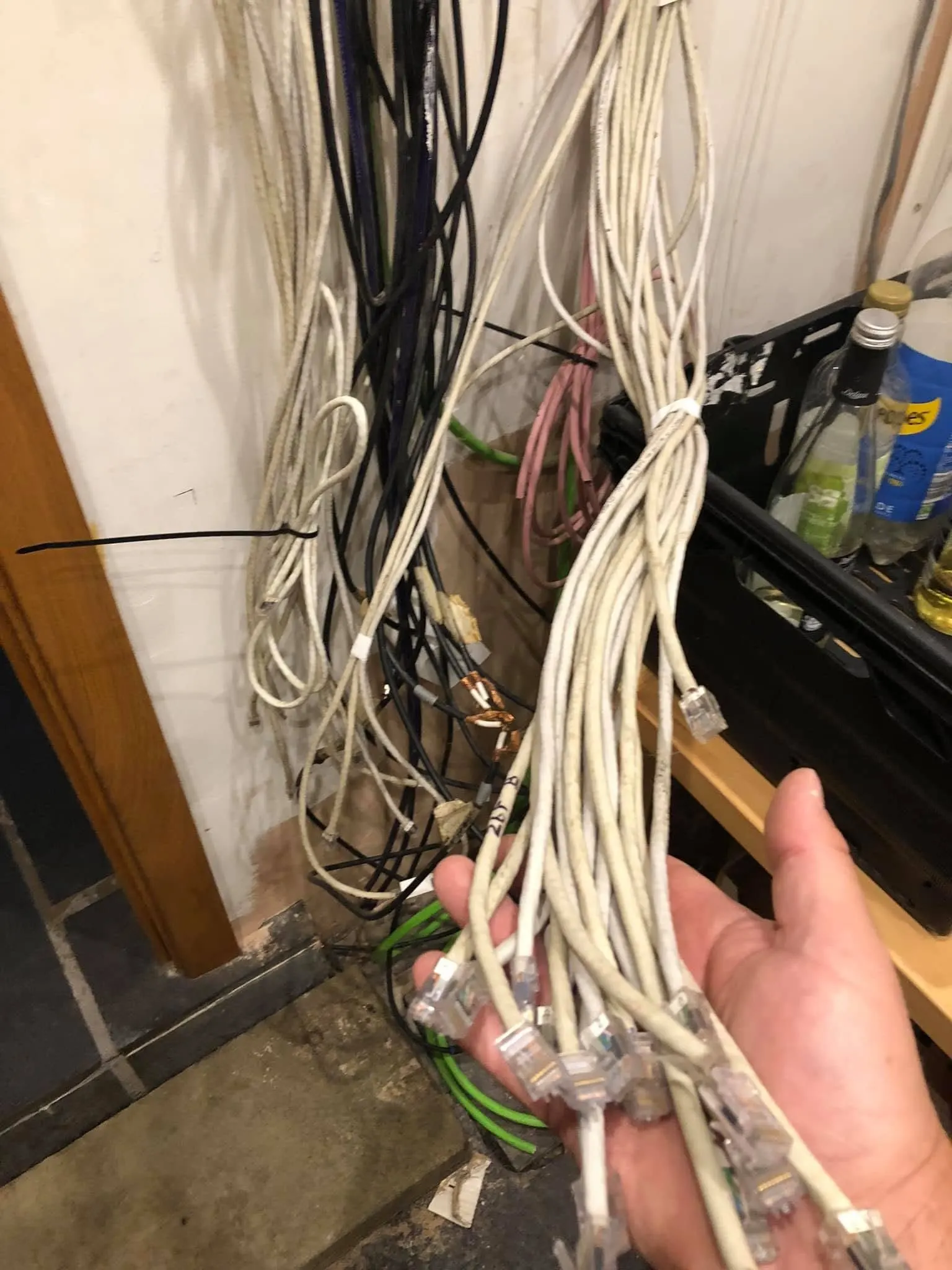 Hand holding a bundle of old white ethernet leads with clear RJ45 plugs, in front of more cables hanging against a wall