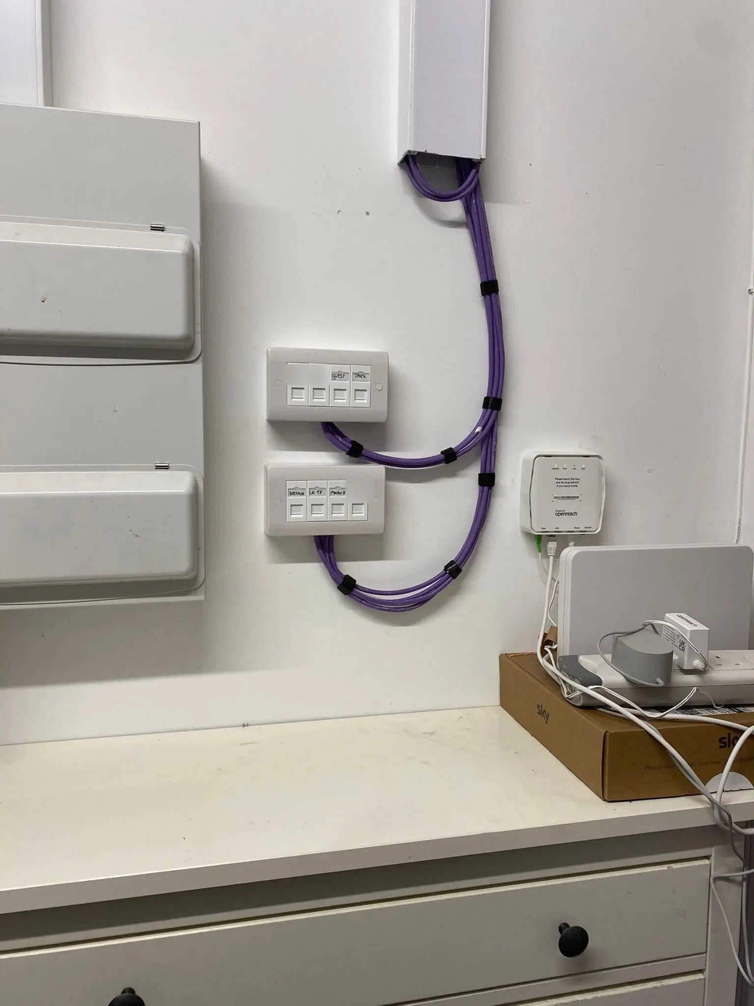 Two four-port data plates with hand-written labels beside a consumer unit, fed by purple cable from white trunking