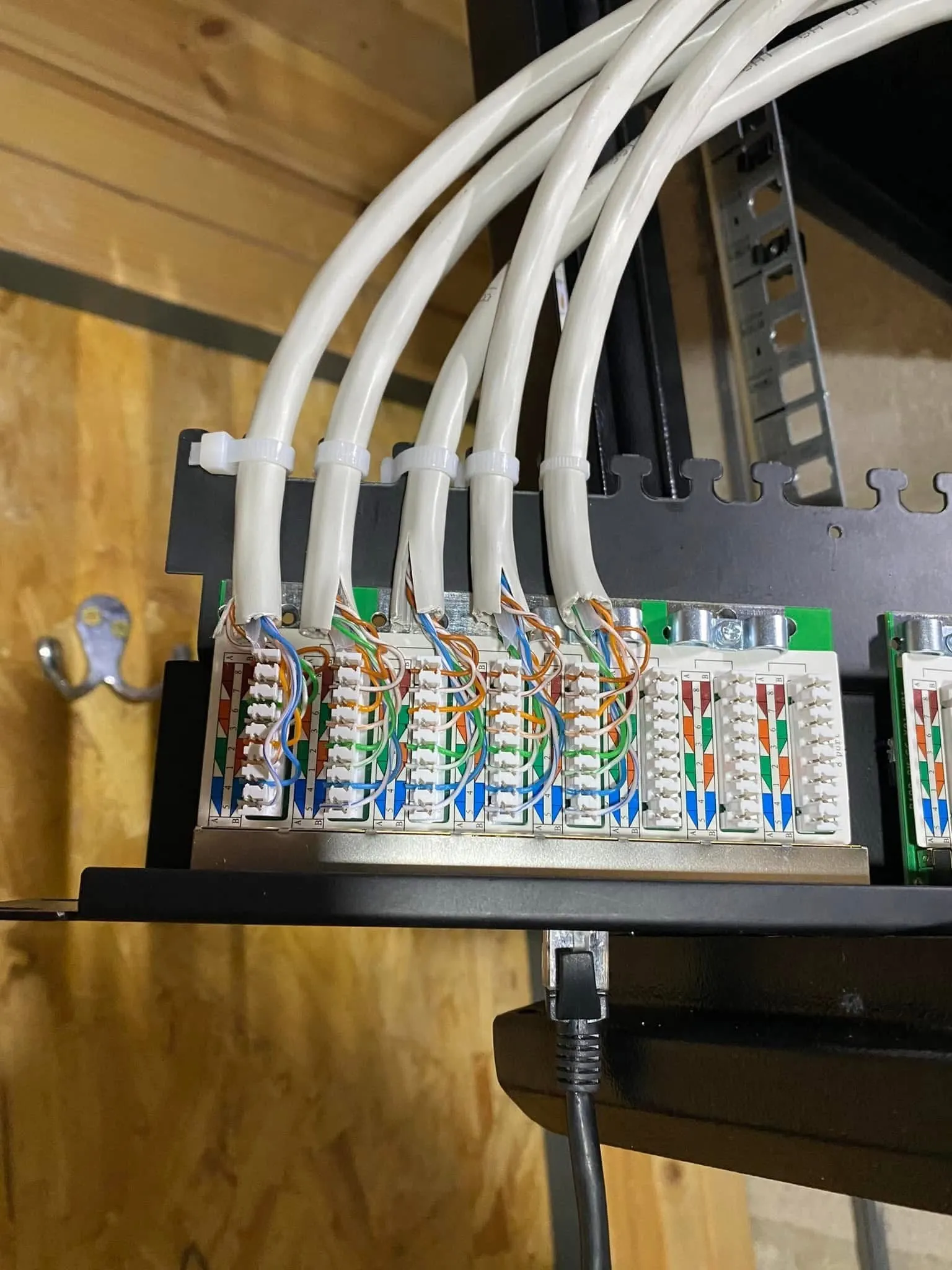Five white network cables cable-tied to a patch panel bar and punched down into colour-coded terminals