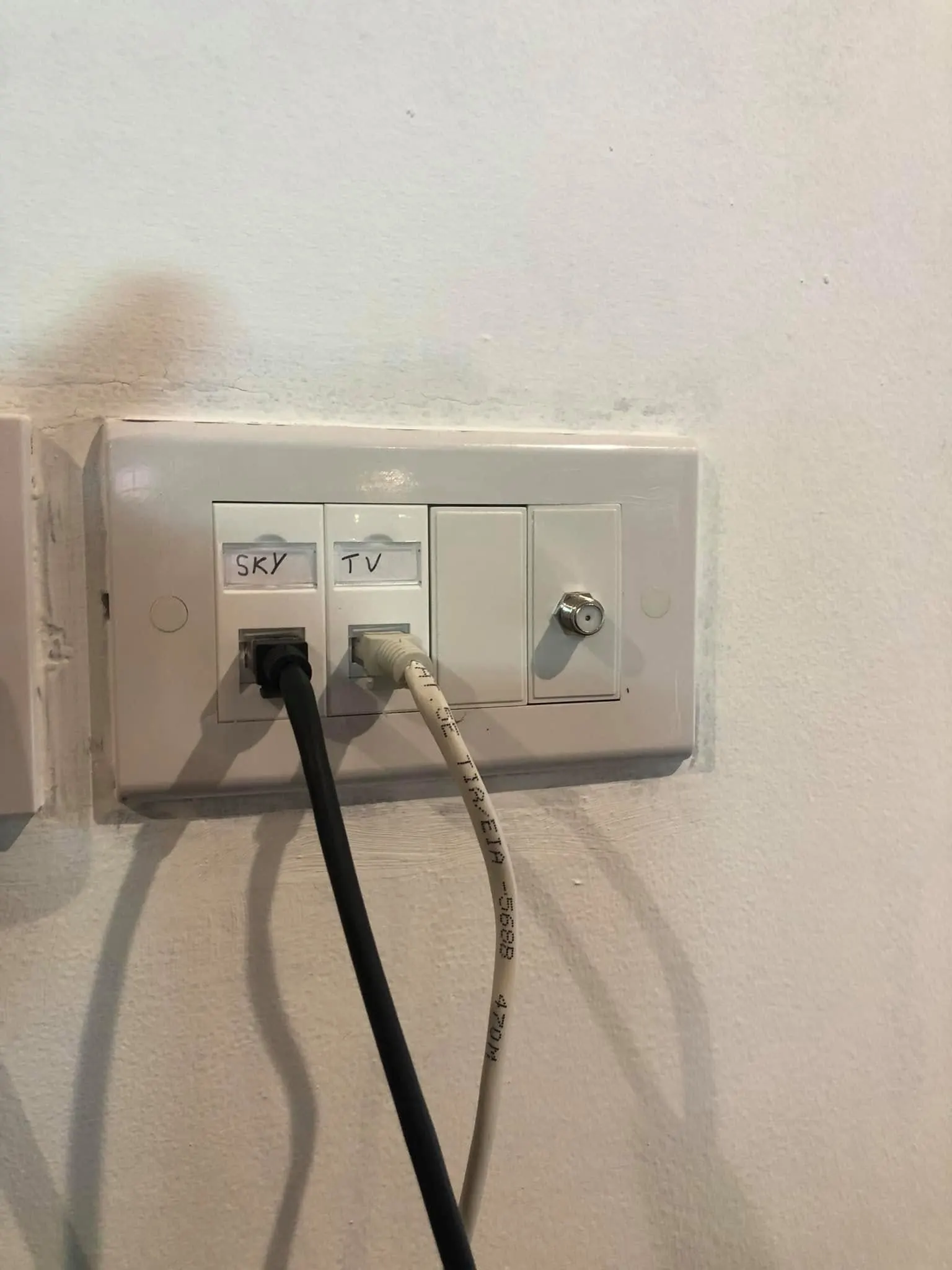 Quad faceplate with two network ports hand-labelled SKY and TV, a blank module and an F-type coax connector, leads plugged in