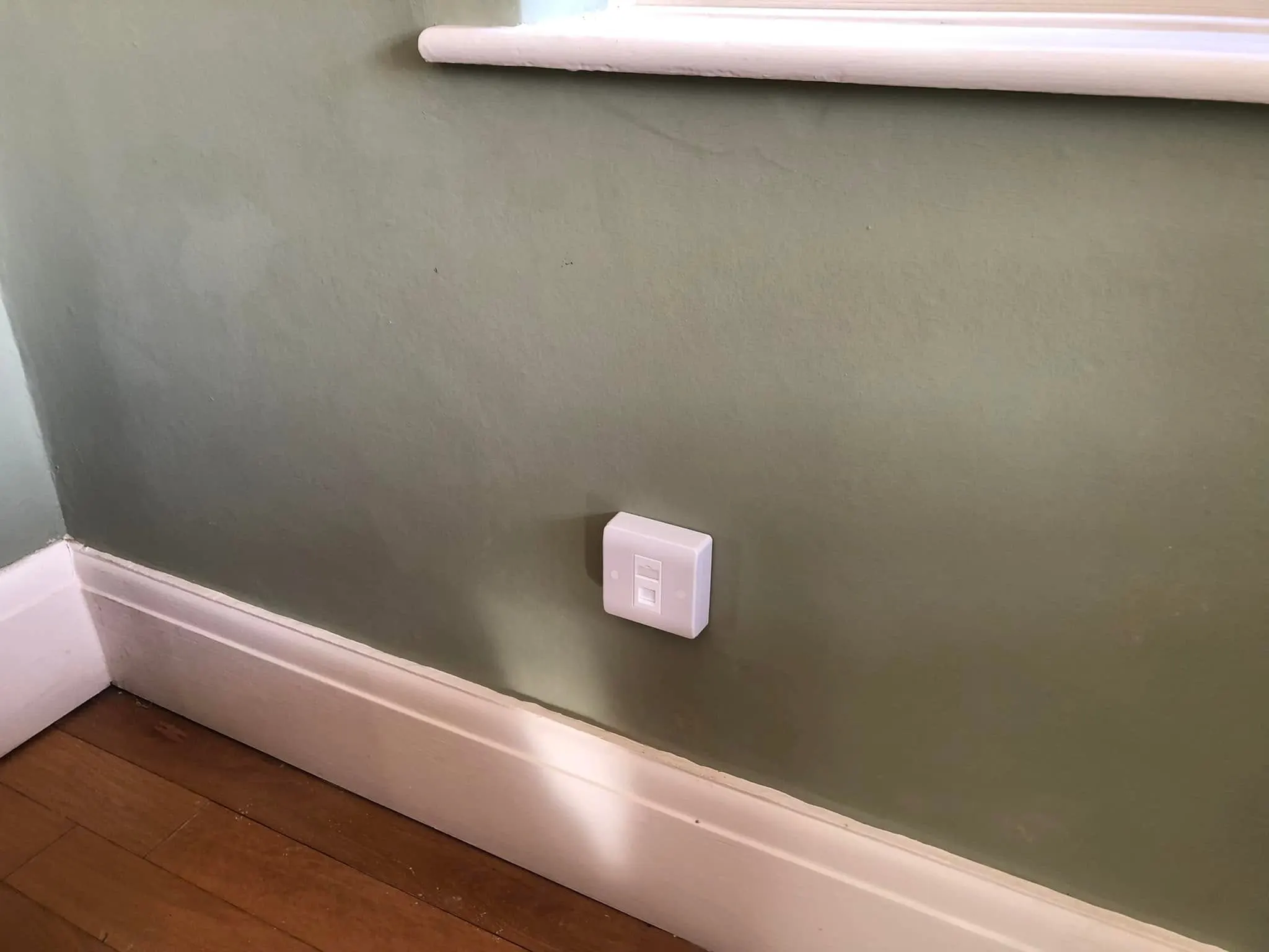 Single white ethernet socket on a sage green wall just above a white skirting board