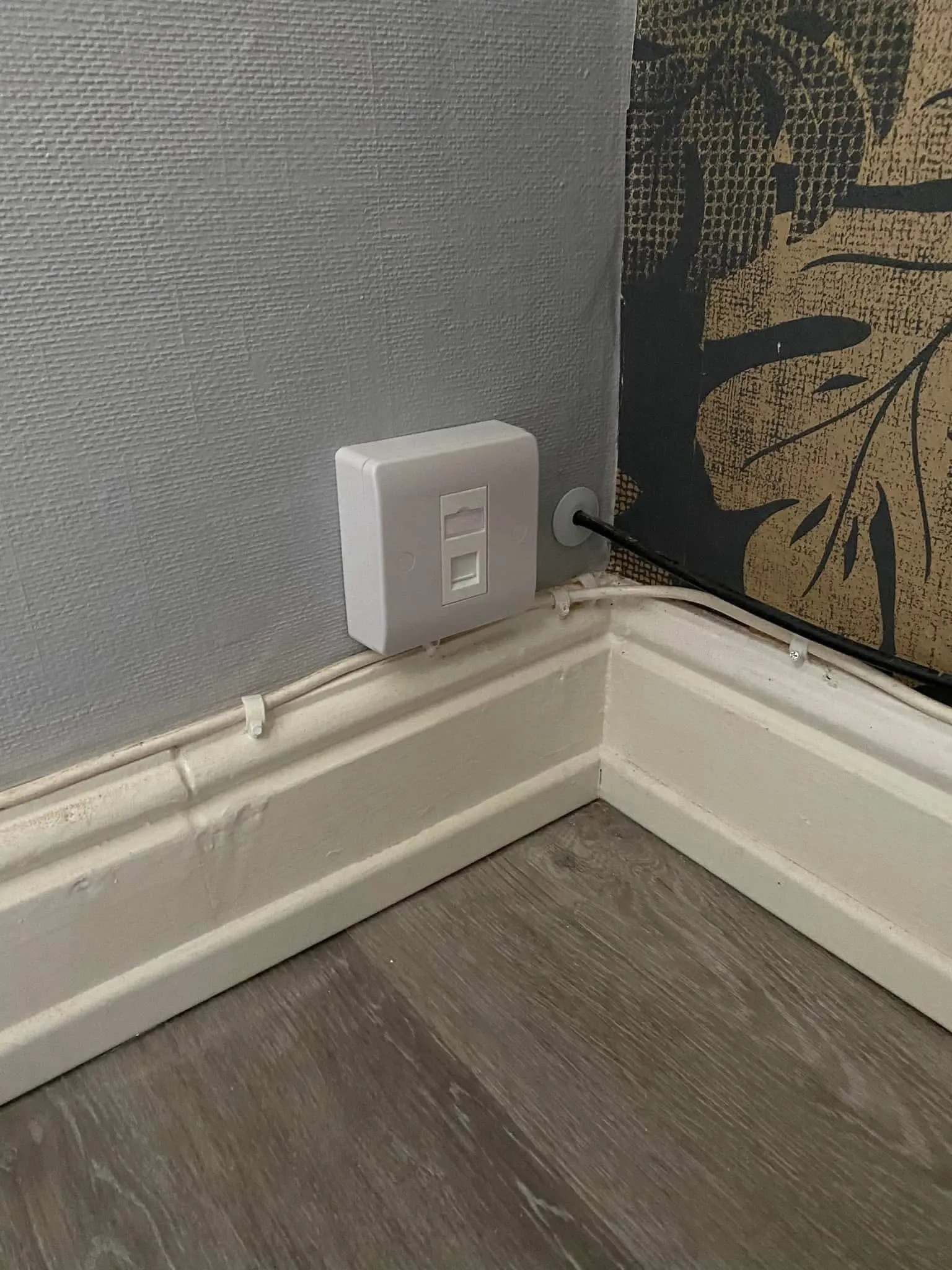 Single ethernet surface box just above a white skirting board, beside a black cable entering the wall through a grommet