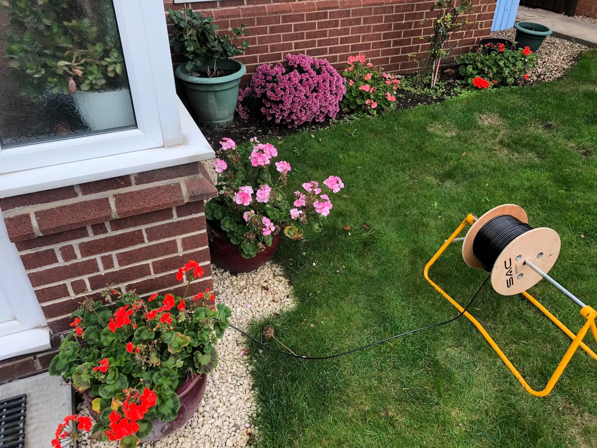 Drum of black cable on a yellow reel stand on a lawn, the cable running past potted geraniums towards a brick wall