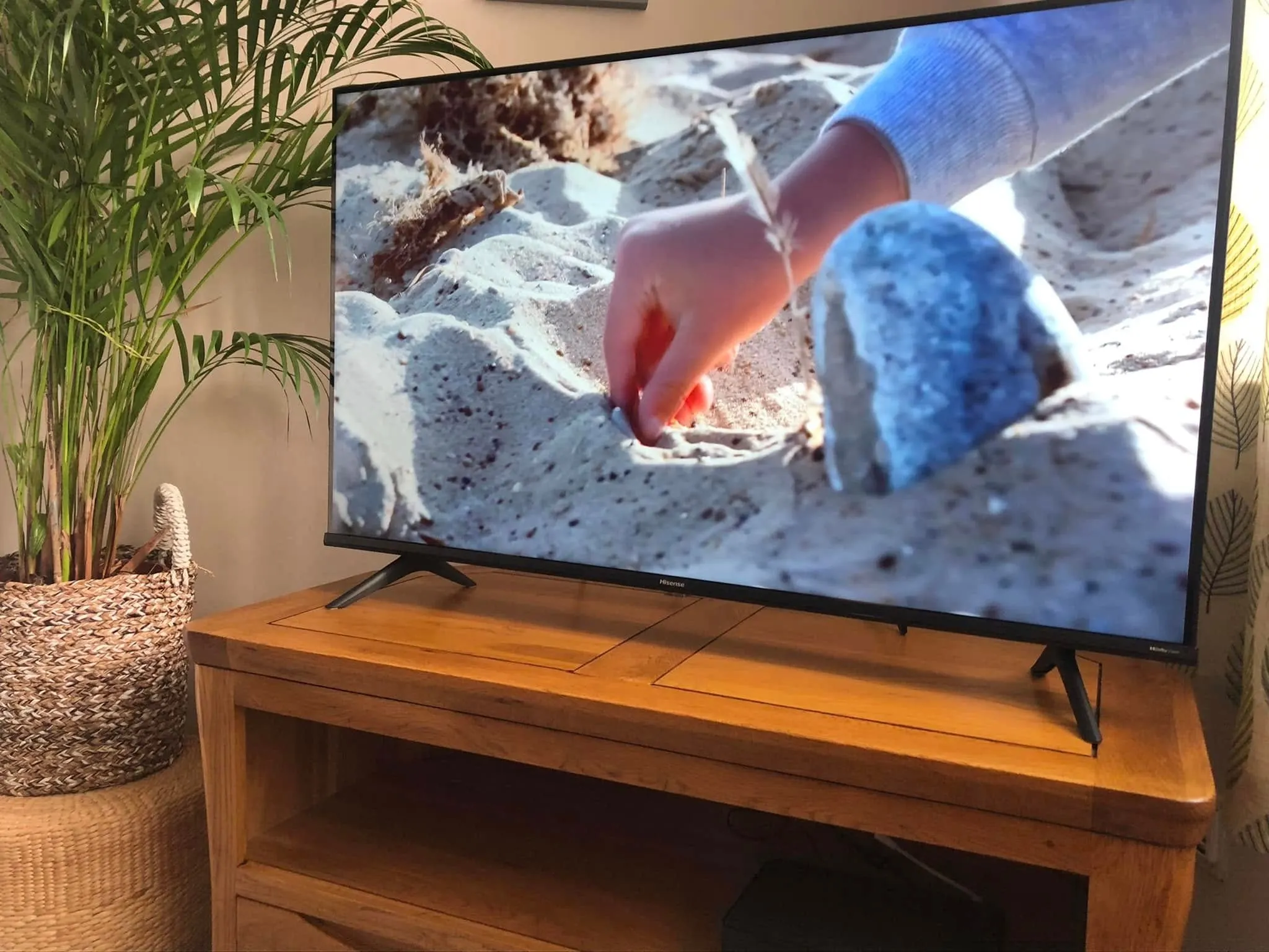 Hisense TV on its stand feet on an oak corner TV unit beside a potted palm and a woven basket